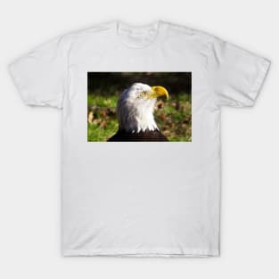 Bald Eagle T-Shirt